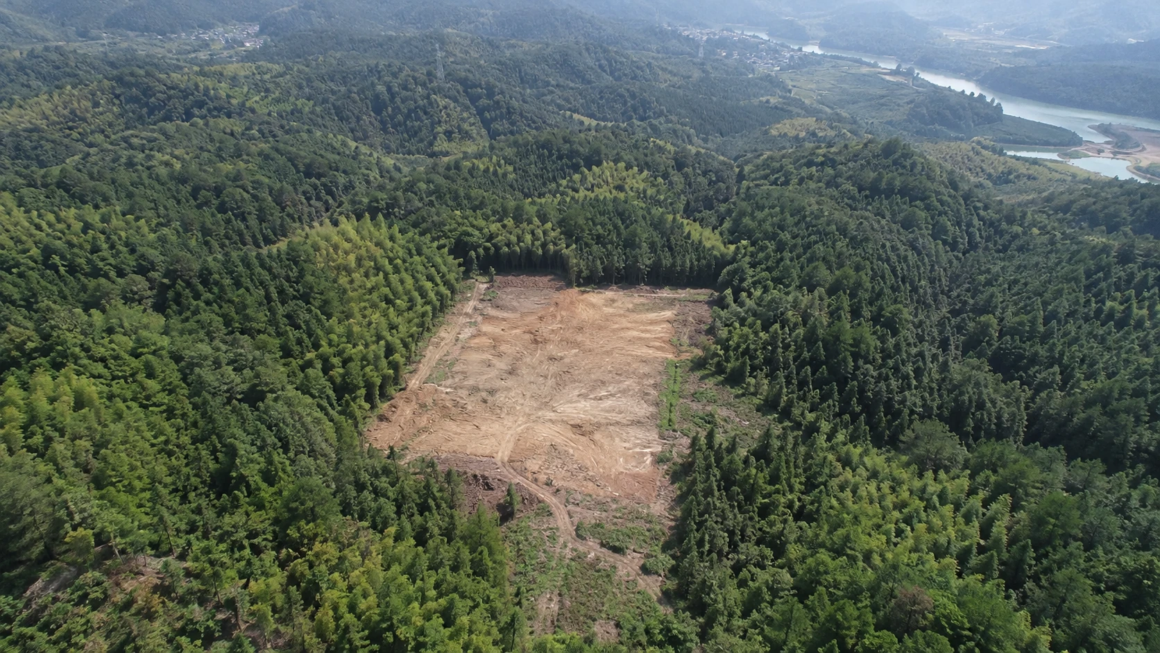 植被扰动与生态修复变化核查：独立无人机航拍场景与红色目标标注示意