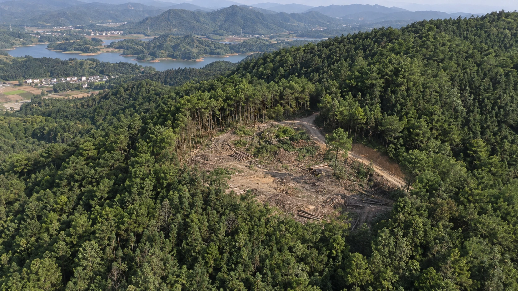 林地变化与建设扰动核查应用场景示意