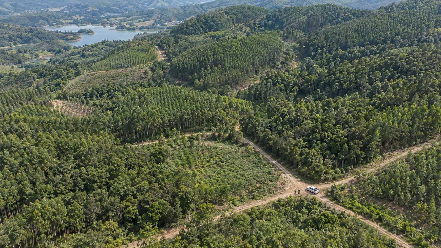 森林资源调查与巡护档案应用场景示意